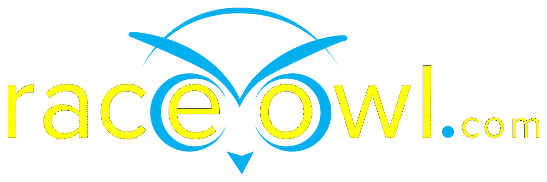 RaceOwl Logo
